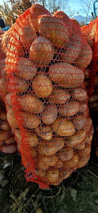 De vanzare - cartofi de consum!