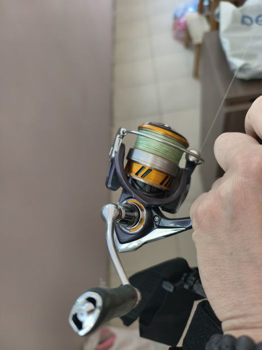 Daiwa Regal 2500