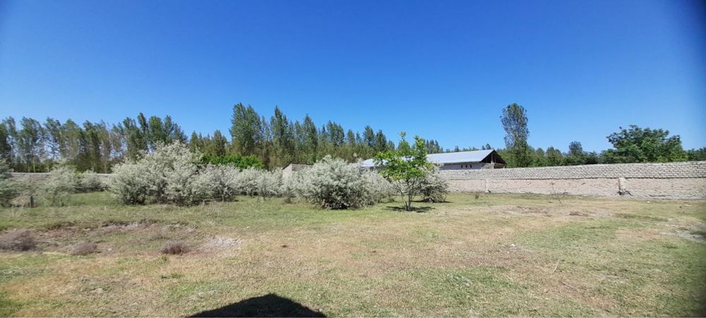 Jomboy markazidan 32 sotiq hovli sotiladi