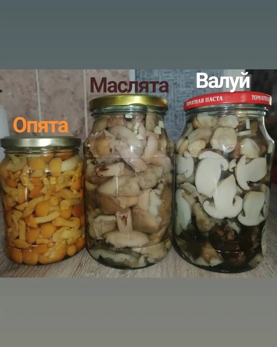 Королевский мёд энергия сила бодрость