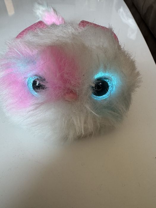 Интерактивно коте