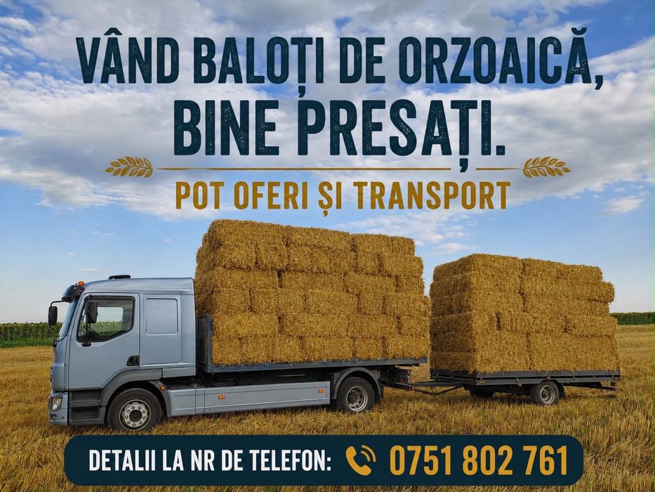 Baloti paie orzoaica si porumb graunte(2025)