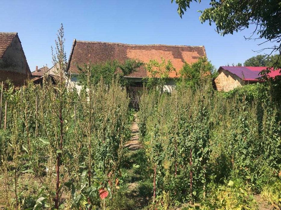 Vand casa cu anexe, curte si gradina (suprafata totala 3250 mp) in Căstău, jud. Hunedoara