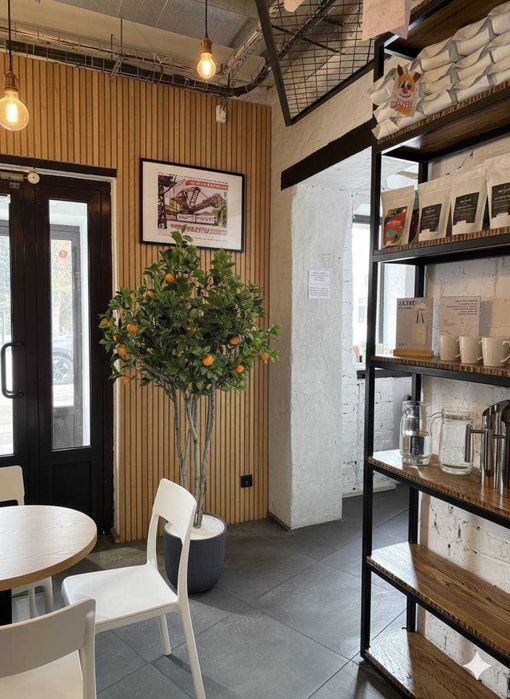 Искусственные лимоны и мандарины — сочные интерьерные деревья