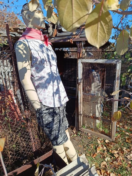 Продается дачный участок