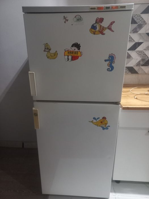 Холодильник "Хлодон".