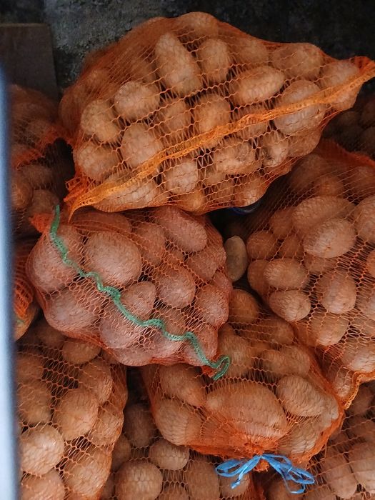 Vând cartofi de consum cu miz galben