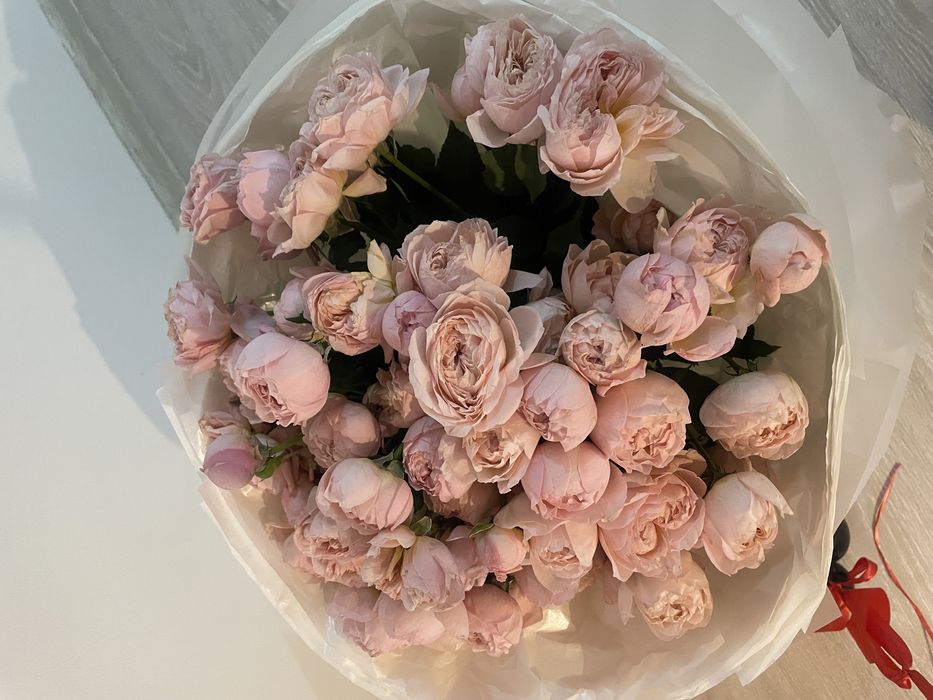 цветы сегодняшнего дня