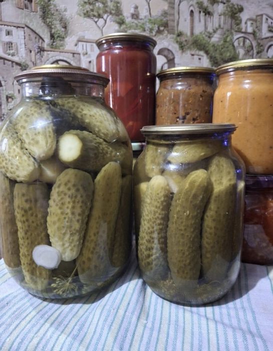 Продам заготовки помидор и огурцов