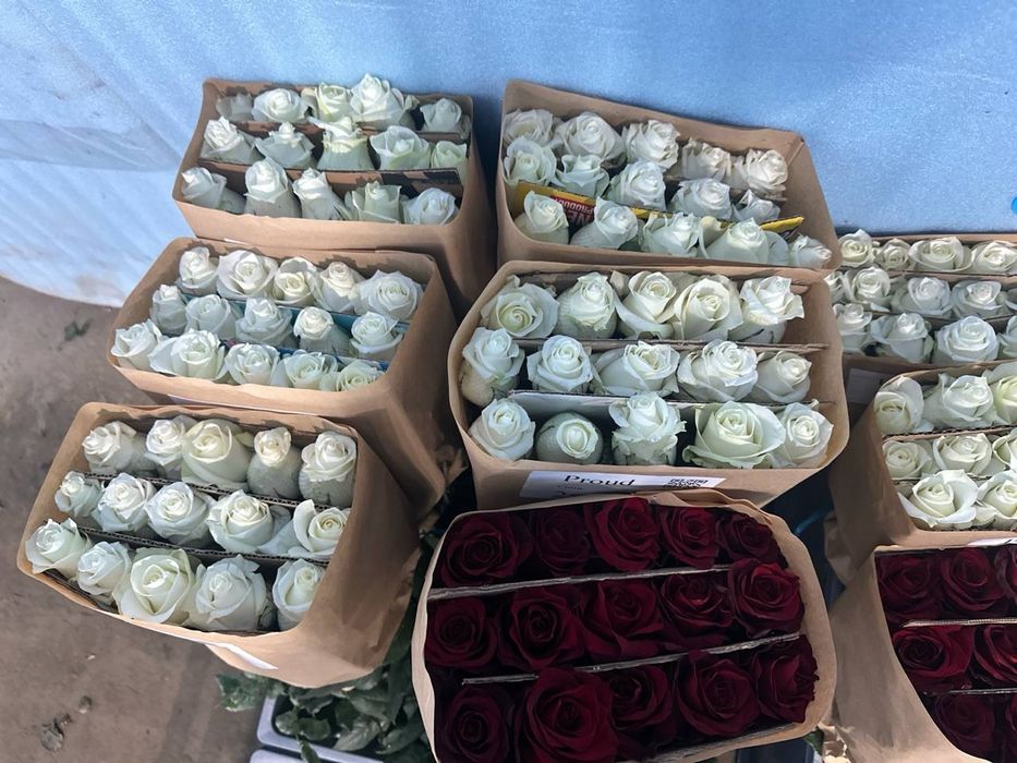 Floristlar uchun atirgullar premium sifatda
