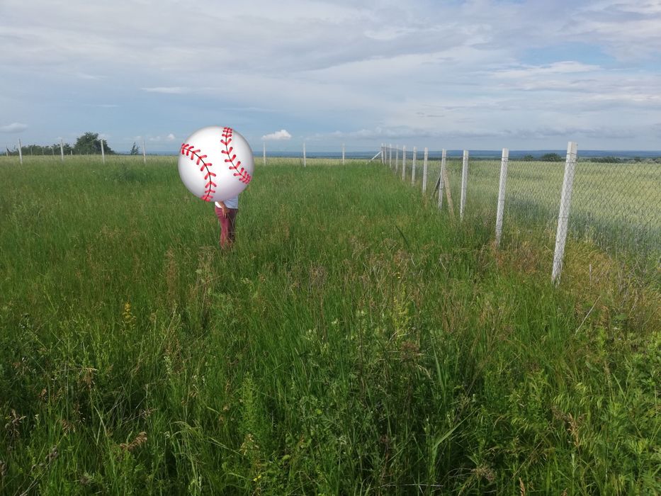 3,5 ha teren Vaculesti