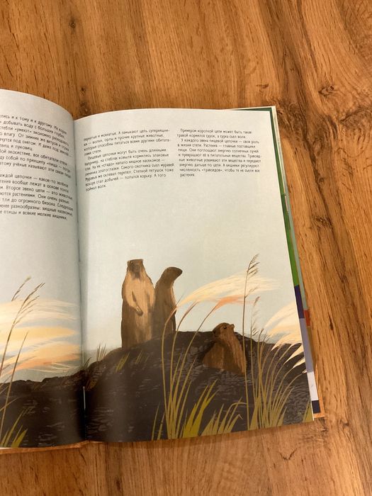 книга "степи, прерии, пампасы"