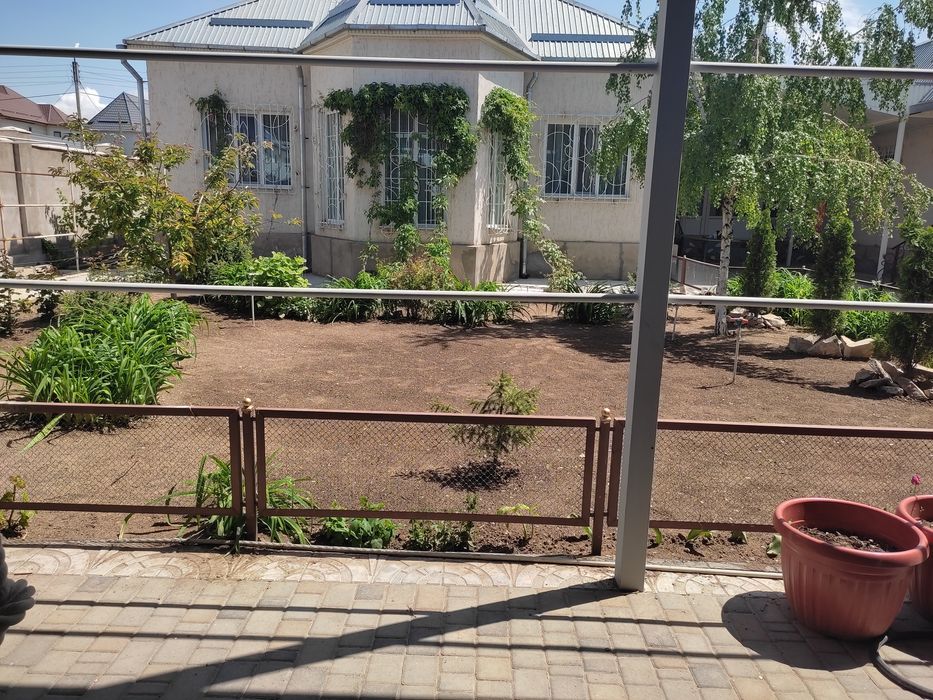 Газон живои семена