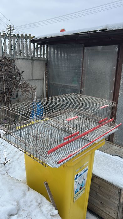 Vând cușcă prepelițe