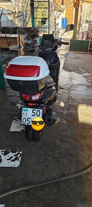 Самурай Лия liya 150