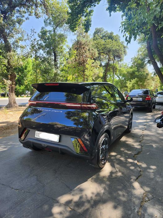 BYD Seagull EV 2024