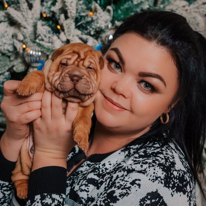 Щенки шарпея Казахстан