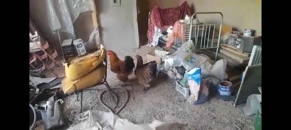 Brama 1 juft sotiladi