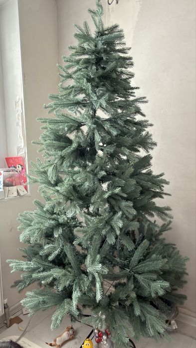 Продам елку 180см в высоту