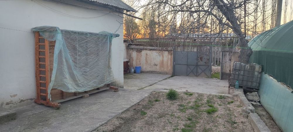 Платинада ховли уй ижарага берилади