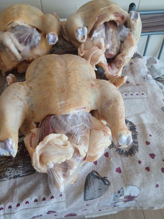 Pui ai gaini crescuti in goapodarie