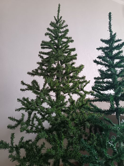 Шыршалар сатылады 2. Елки.