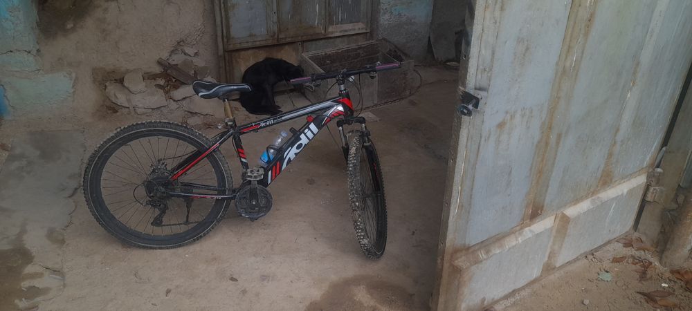 Velosiped 26'r'30mc Adil 8 skorst