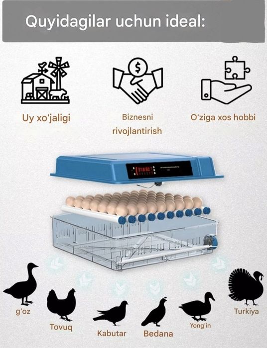 Yangi Avtomatik inkubator sotiladi (64 talik)