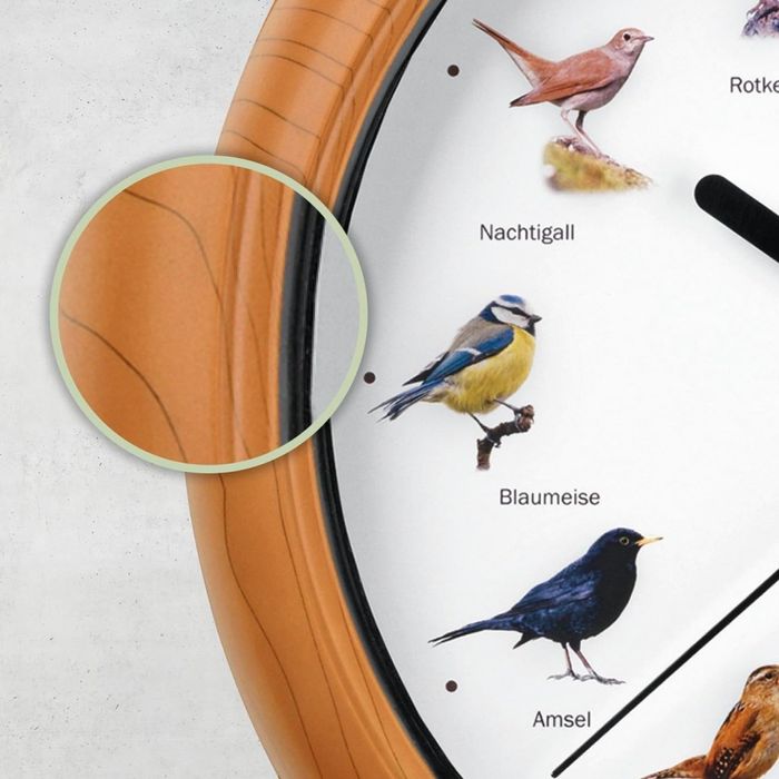 Стенен часовник с автентични птичи песни – природа във всеки час