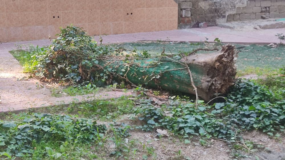 Tekinga Beton bardyur azgina shlakablok va tonka otinga va zasipkaga