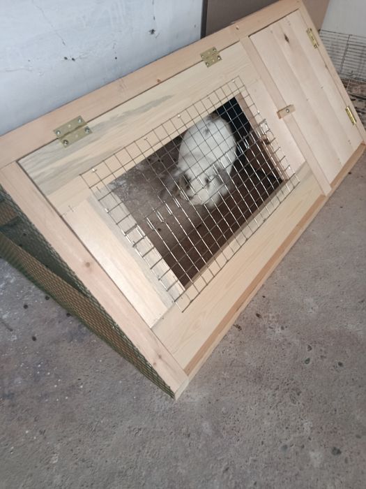 Изготовим клетки для кур и кроликов