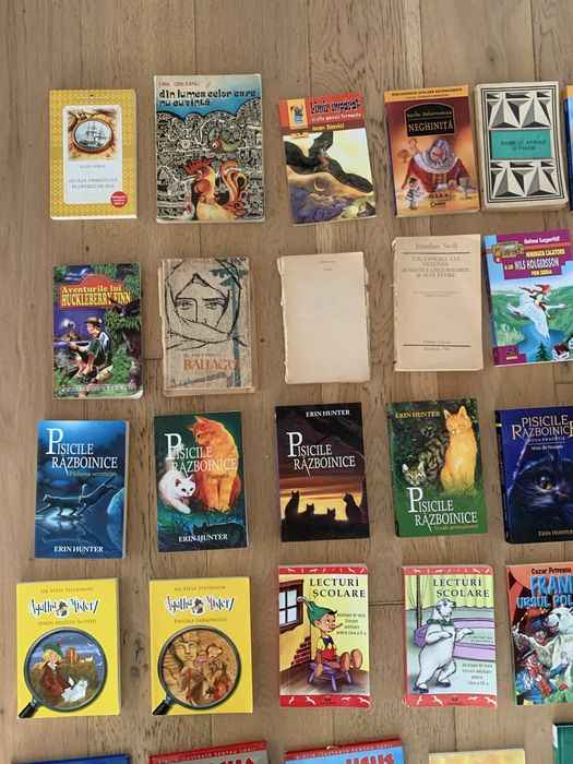 Carti diverse orice la 10 lei
