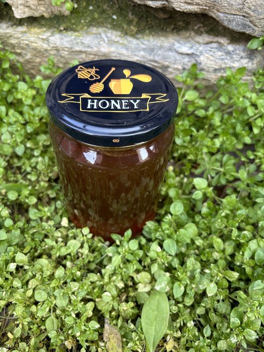 Натурален домашен пчелен и манов мед – директно от пчелар