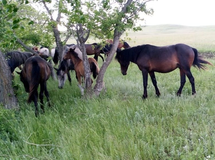 Смотреть Беркова порно видео онлайн