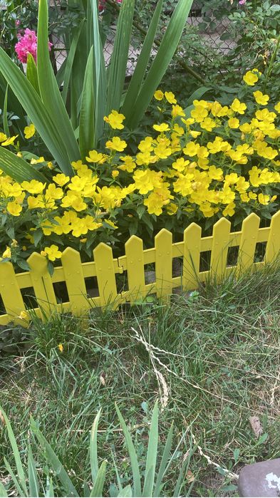 Садовые растения