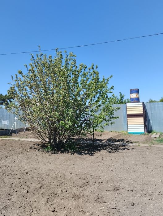 Продам большую дачу на ДСК