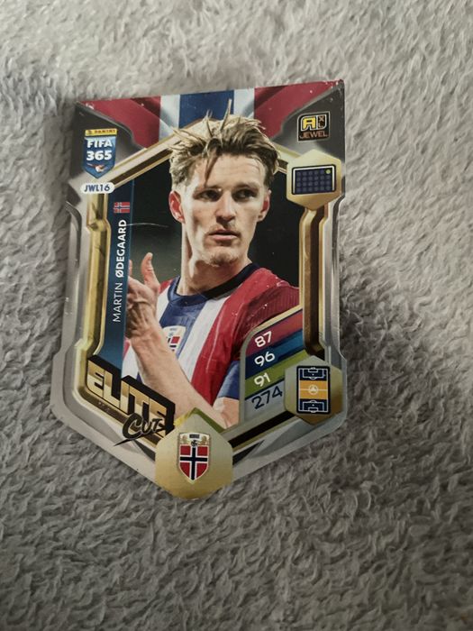 Vand cartonase panini ELITE CUTS 2026