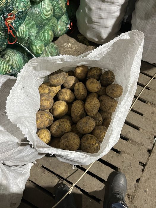 Кортофель с доствакой