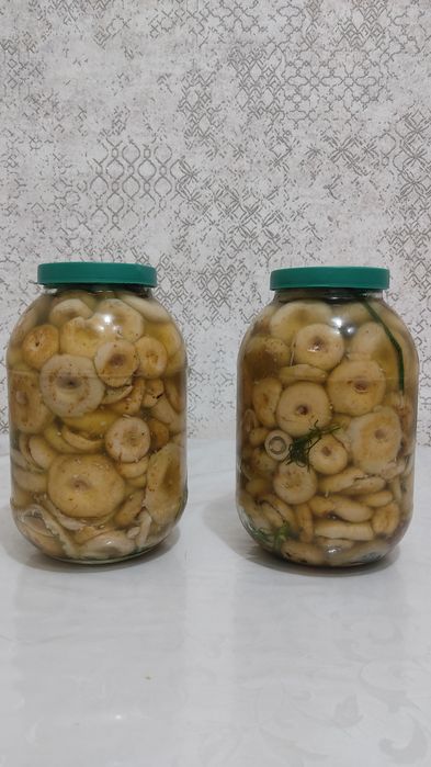 Грибы, соленые грузди