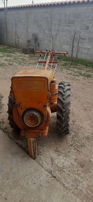 Motocultor pasqoale 18,5 cai