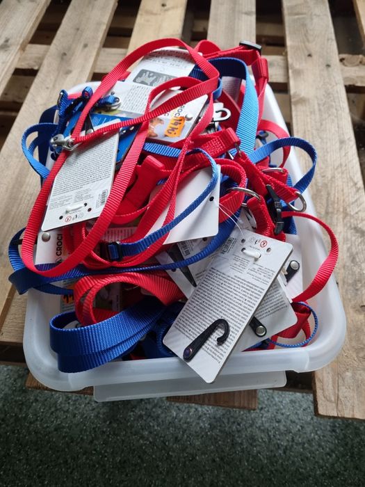 Hamuri si curele catei