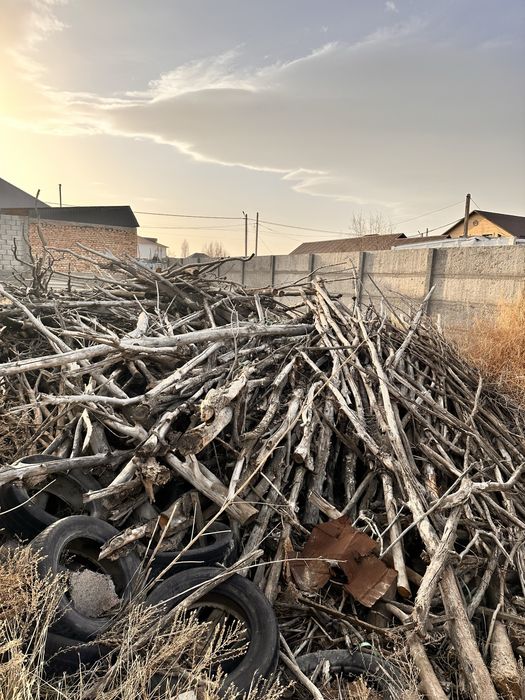 Дрова сухие для бани и шашлыка прочие