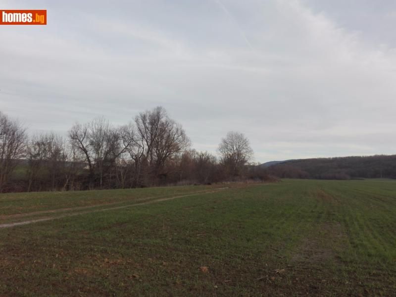 Продава се Парцел в с. Попович, Област Варна - 8760 кв.м за 4 €/кв.м - Снимка #2