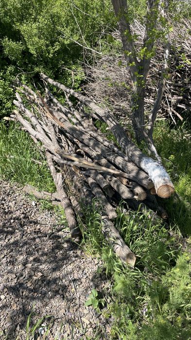 Дрова для шашлыка и самса