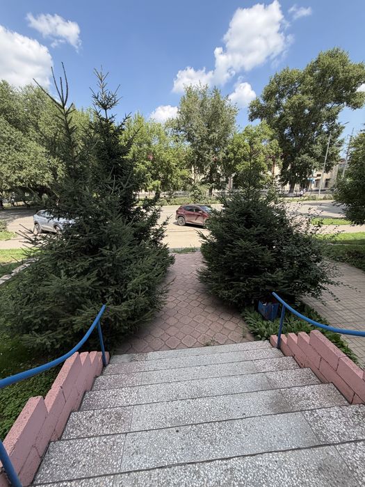 Продам офис магазин кафе