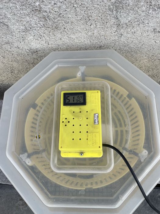 Vand incubator Cleo 5TH