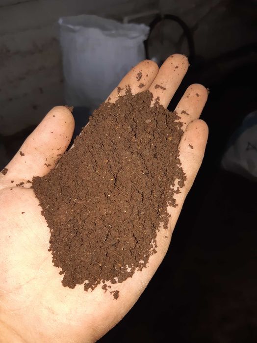 Ассалому алейкум биогумусга кизиканлар