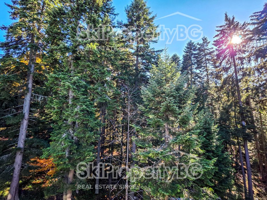 Двустаен апартамент сред борова гора  в Боровец!