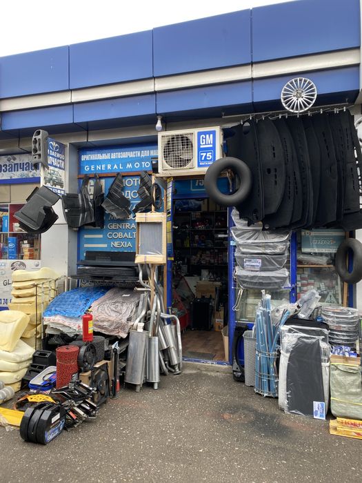 Podkrilnik kobt orqa