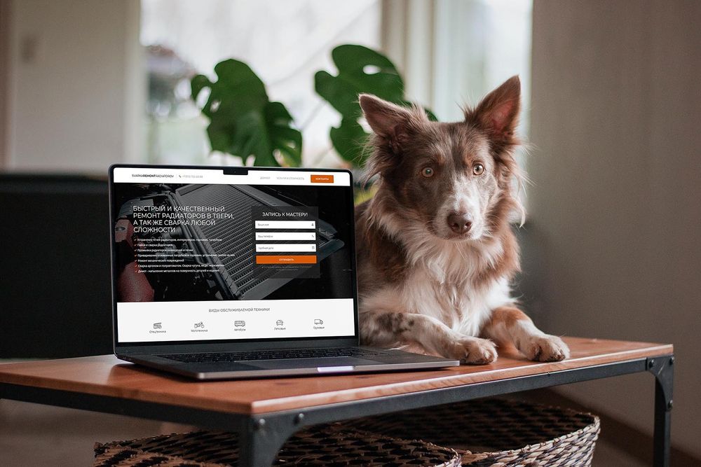 Создание и продвижение сайтов в Алматы